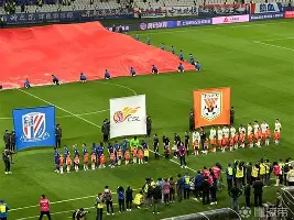 今晚体能课后，上海申花遗憾出局备战西甲，气氛紧张，年轻球员得到机会的简单介绍-爱游戏网址